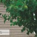 Сайдинг Ю-Пласт TIMBERBLOCK Пихта (Тимберблок) Cахалинская купить в Новой Ладоге