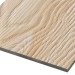 Фиброцементные панели FCSPRO Decor Wood Лиственница купить в Новой Ладоге
