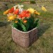 Цветник КАНЬОН купить в Новой Ладоге